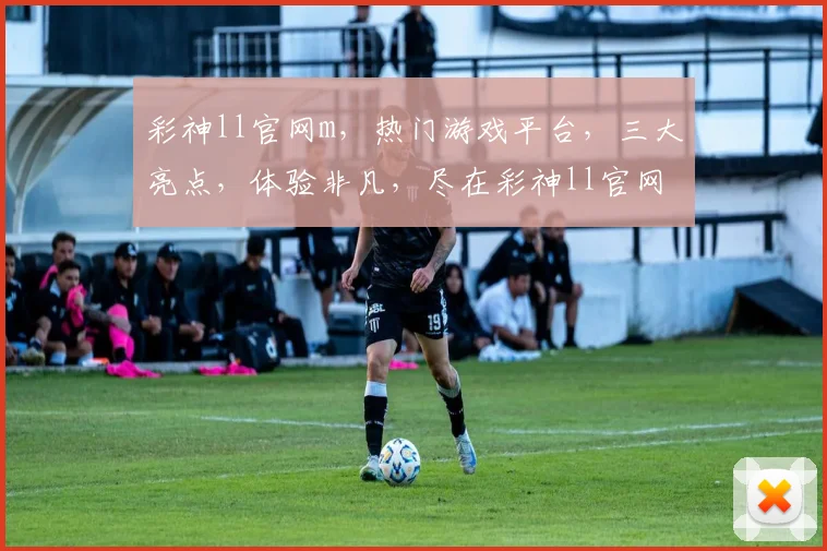 彩神ll官网m，热门游戏平台，三大亮点，体验非凡，尽在彩神ll官网m