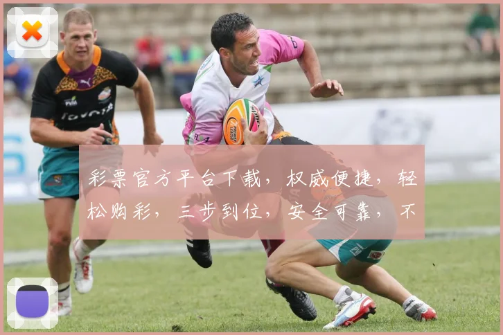 彩票官方平台下载，权威便捷，轻松购彩，三步到位，安全可靠，不容错过
