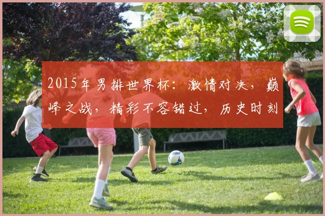 2015年男排世界杯：激情对决，巅峰之战，精彩不容错过，历史时刻再现