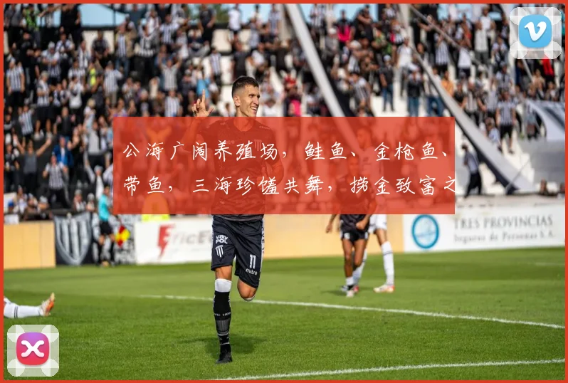 公海广阔养殖场，鲑鱼、金枪鱼、带鱼，三海珍馐共舞，捞金致富之道，不容错过