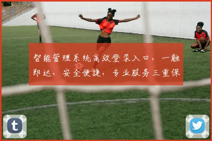 智能管理系统高效登录入口，一触即达，安全便捷，专业服务三重保障，体验非凡