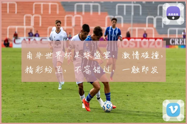 南非世界杯足球盛宴，激情碰撞，精彩纷呈，不容错过，一触即发