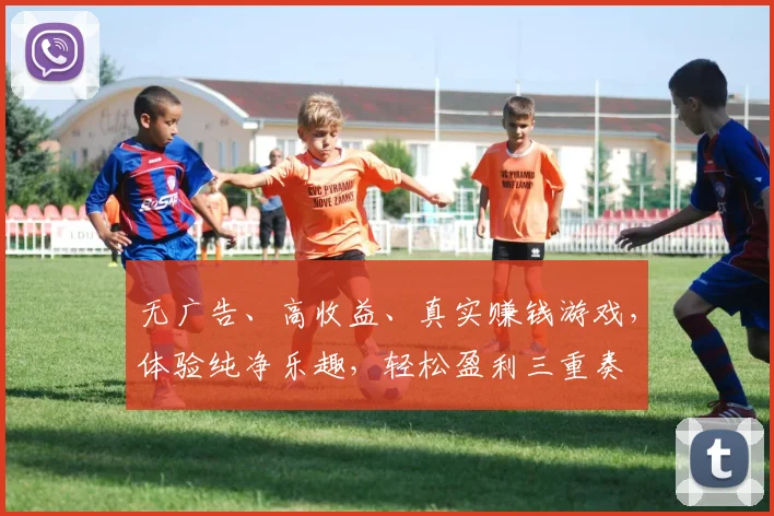 无广告、高收益、真实赚钱游戏，体验纯净乐趣，轻松盈利三重奏