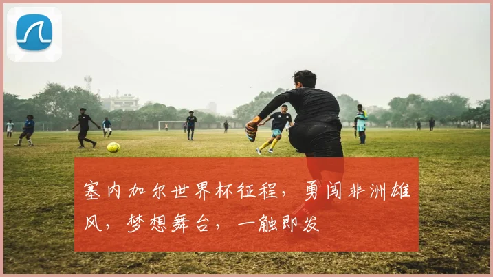 塞内加尔世界杯征程，勇闯非洲雄风，梦想舞台，一触即发