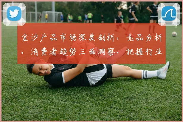 金沙产品市场深度剖析，竞品分析，消费者趋势三面洞察，把握行业脉动